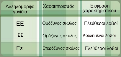 Γονίδια: Επικρατή και Υπολειπόμενα